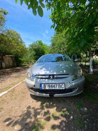 Peugeot 307 1,6