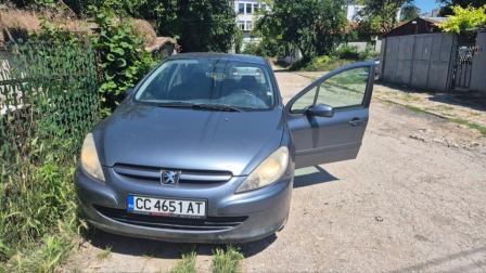 Peugeot 307 1.6
