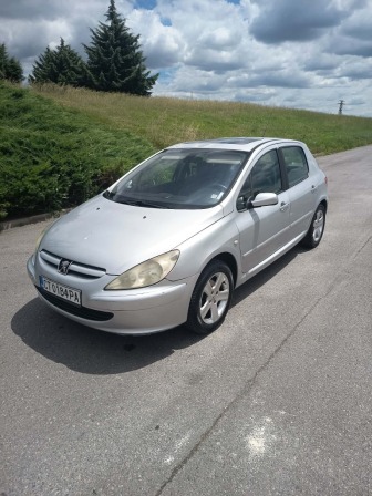 Peugeot 307 1.6i