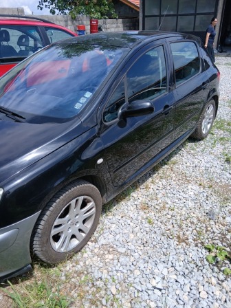Peugeot 307 1.6