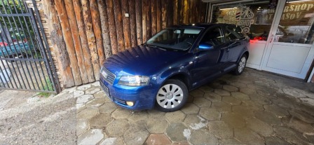 Audi A3 1.9 TDI 105кс B