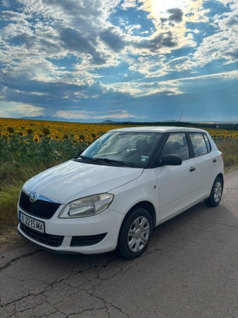 Skoda Fabia 1.6 TDİ