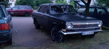 Volga 24