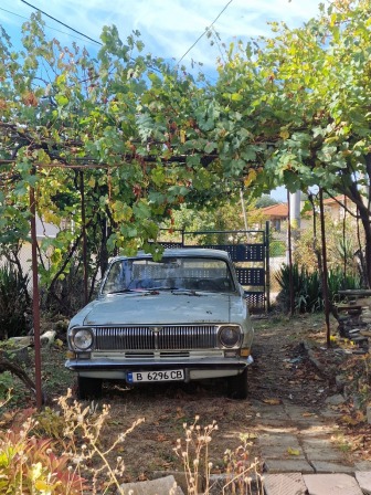 Volga 24 2.4