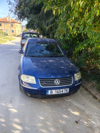 VW Passat