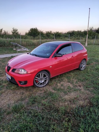 Seat Ibiza 1.9 160 Cupra