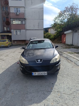 Peugeot 407