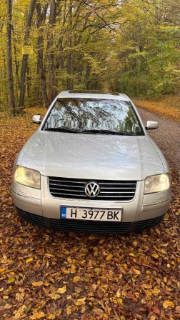 VW Passat